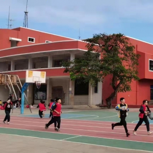 霞山区智洋学校