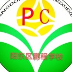 阳江市阳东区鹏程学校