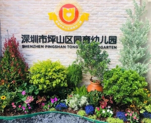 广东省深圳市坪山区同育幼儿园